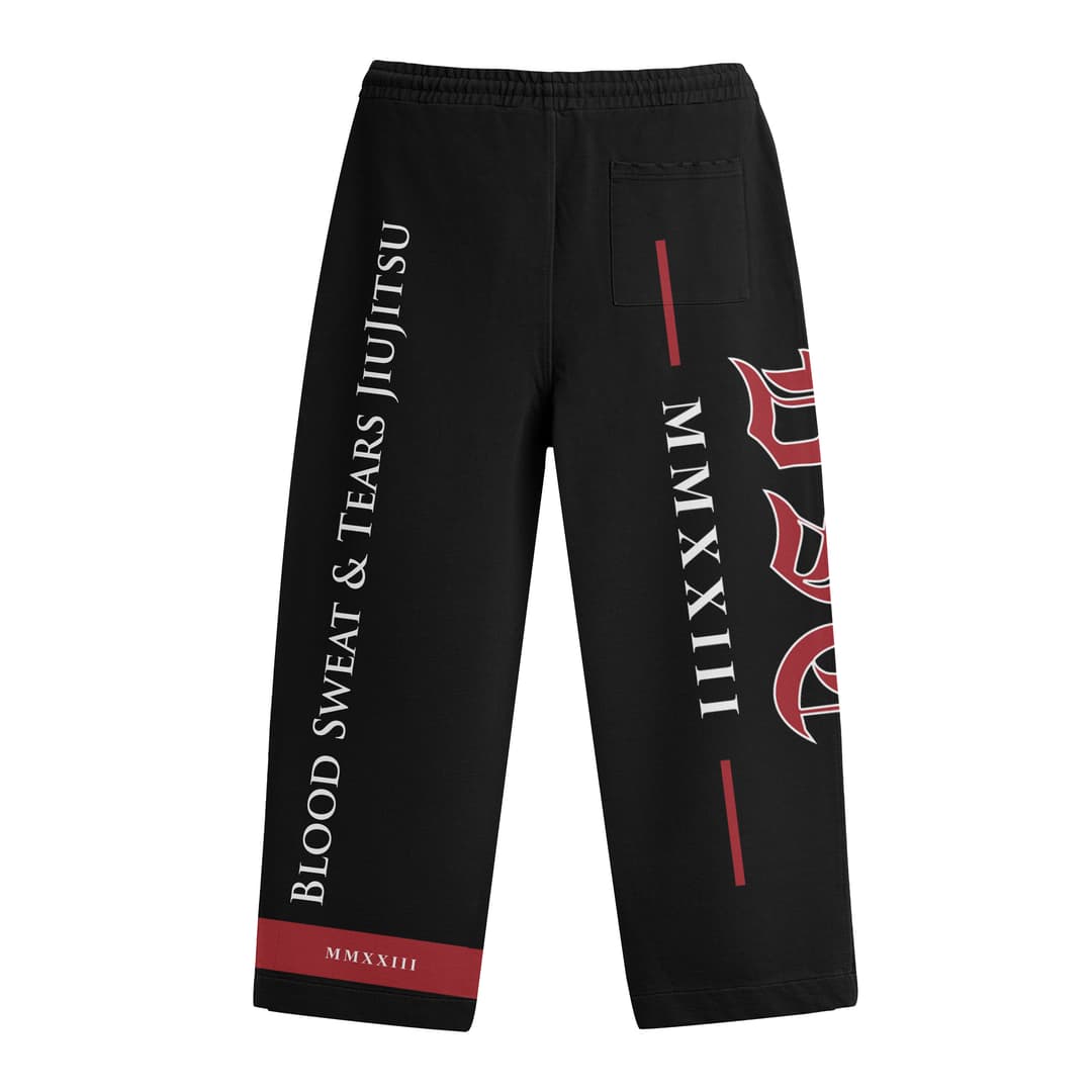 BST Sweatpants Back